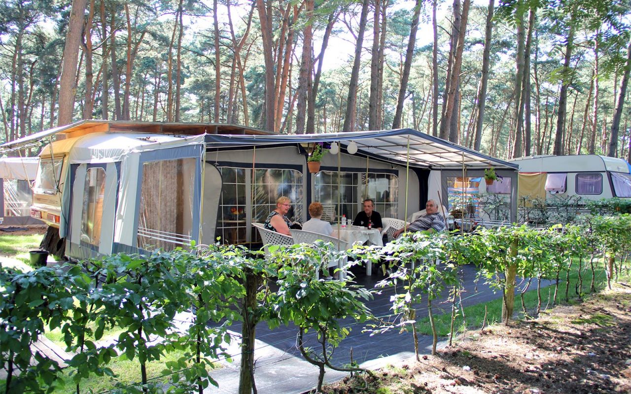 camping